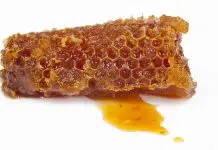 Quels sont les bienfaits de la propolis ?